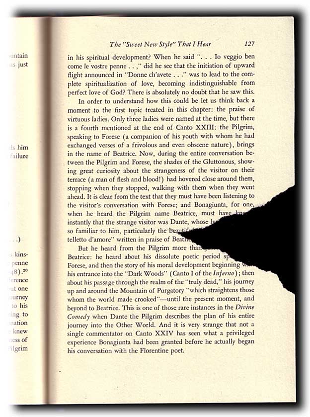 Click to view a larger image Scanned image of the damaged page